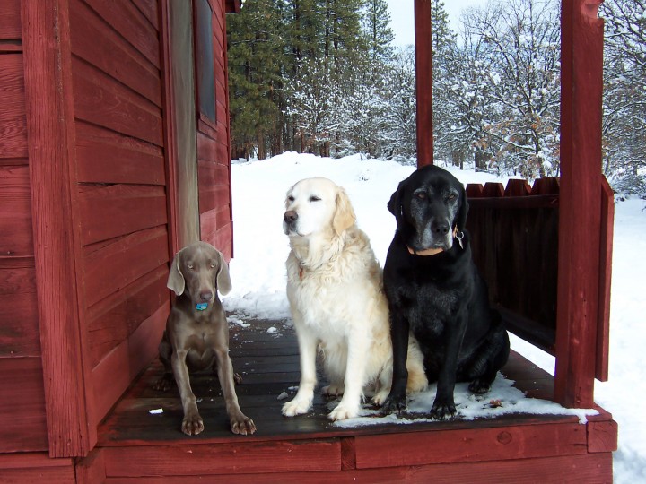 Maggie, Jake and Tucker